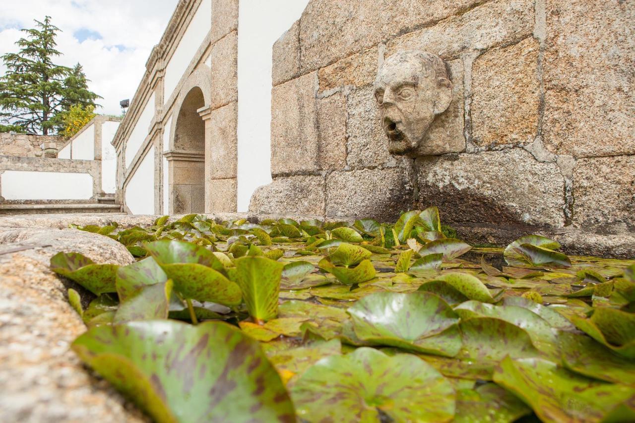 Villa Casa De Quinta Marco de Canavezes Esterno foto